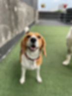 WhatsApp Image 2025-02-22 at 4.12.40 PM.jpeg