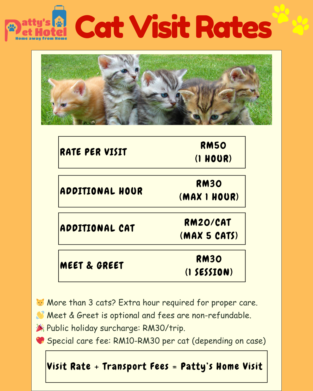 PPH Promotion (3).png