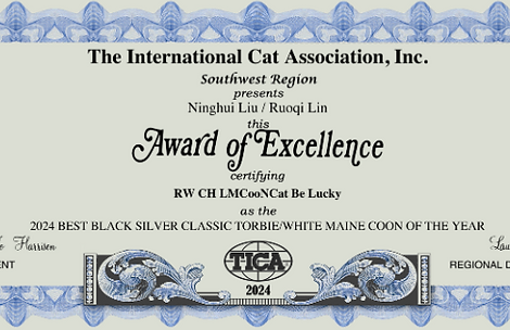 TICA Southwest Region Award of Excellence naming RW CH LMCooNCat Be Lucky the 2024 Best Black Silver Classic Torbie and White Maine Coon of the Year.