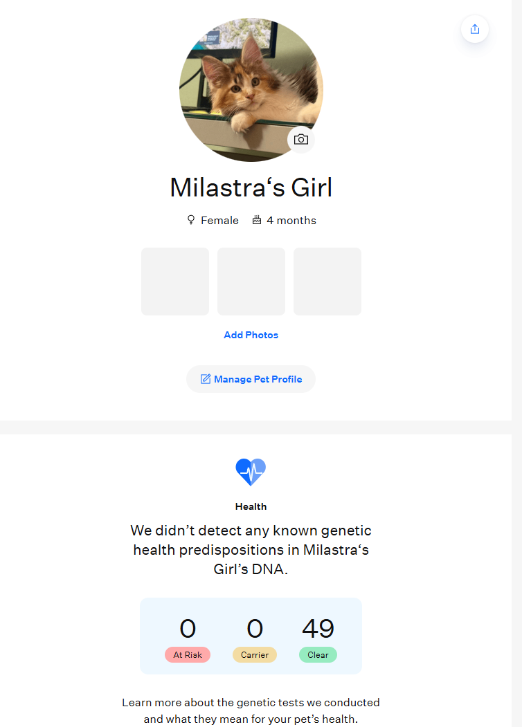 All DNA test results for LMCoonCat Osmanthus are clear