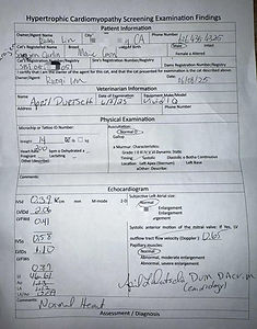 0097ea25d9662b4791556f7645af2c47.jpg