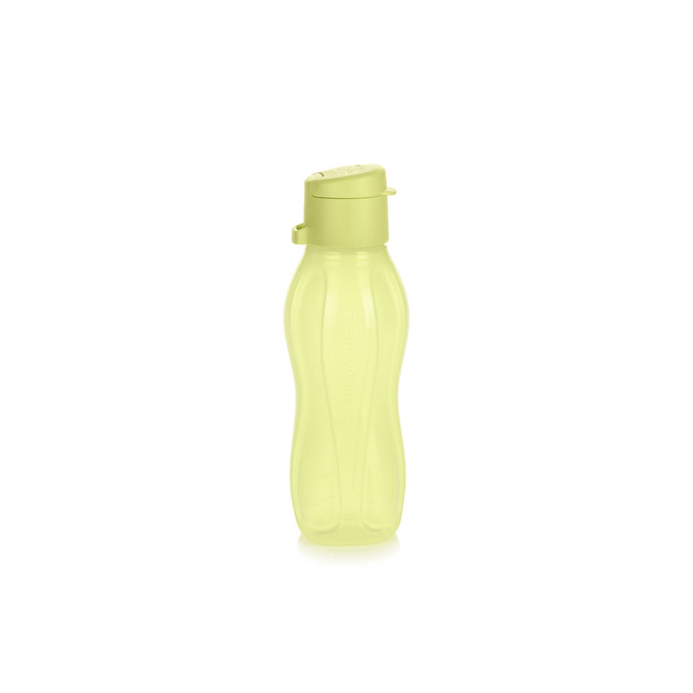 Sticlă Eco 310 ml (capac sport)