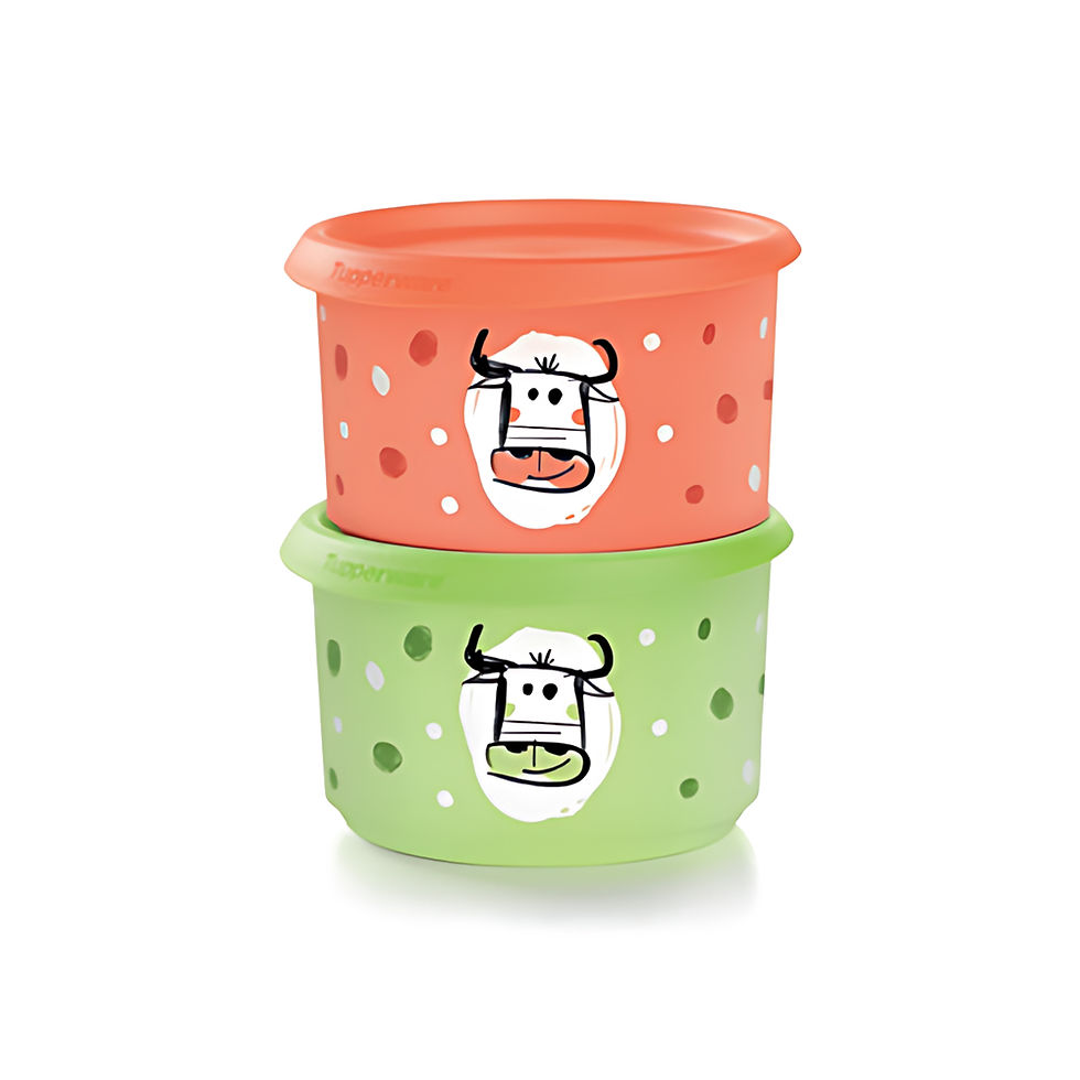 Recipiente Oblo 575 ml