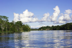 Phylis Clouds