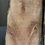 Thumbnail: White Oak Slab B