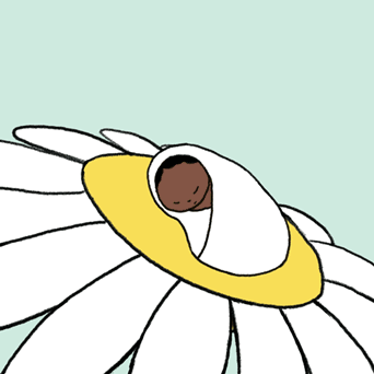 website-thumbnail-1-342px.gif