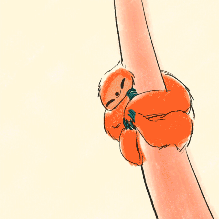 190610_Sloth-day_700x700_v1.gif