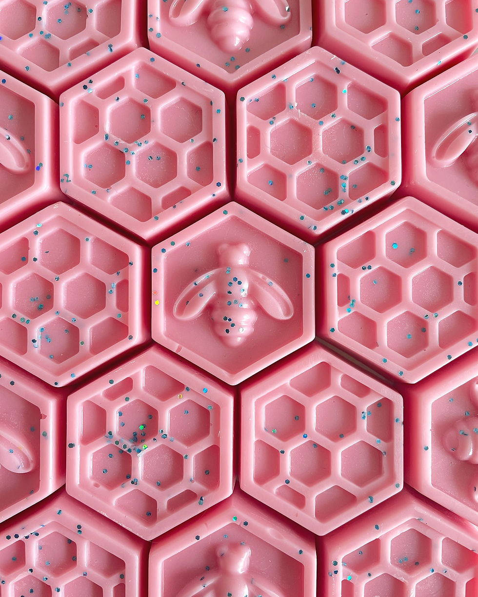 PINKY SANDS Honeycomb and Bee Highly Fragranced Chunky Wax Melts x2