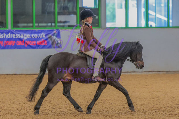 2025 Overall points winner