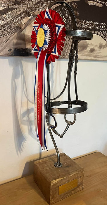 Stars Riding club of the year 