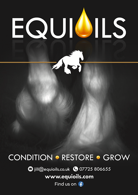 EQUIOILS.png