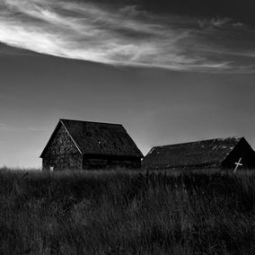 Mendocino Farm 2.jpeg