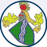 Westbury on Severn Cricket Club logo