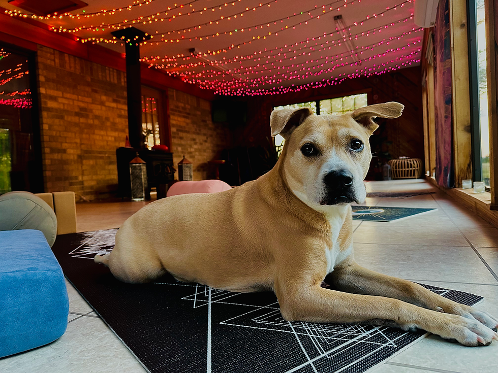 Drax
