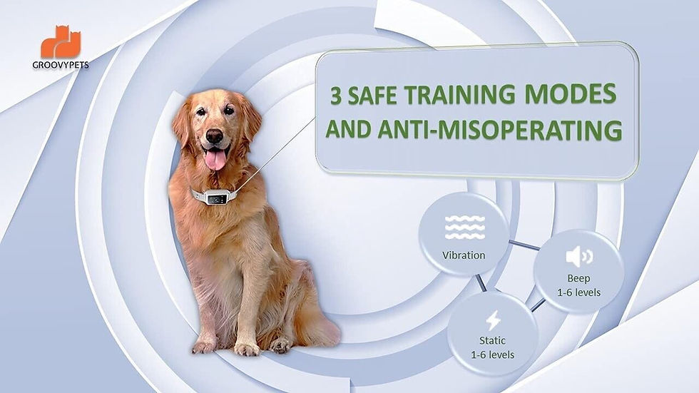 Thumbnail: Touchscreen Auto Anti Bark Dog Collar, Rechargeable Waterproof Barking Control