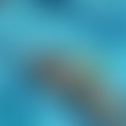 The Pool Sessions #42