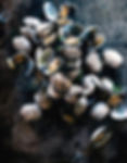 3be7a058dfd6b41ab5507c156f82778d_edited.jpg