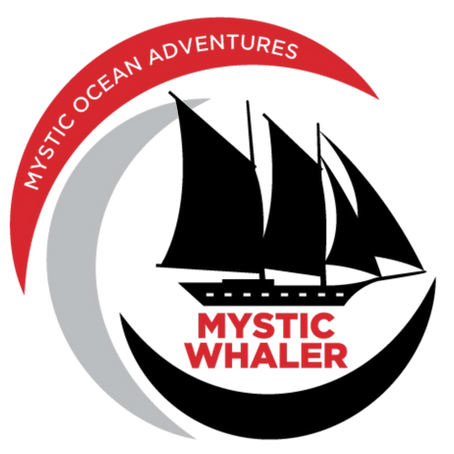 Central Coast Ocean Adventures Renamed as Mystic Ocean Adventures, Continuing to Set Sail for Experiential Learning Opportunities for Local Youth