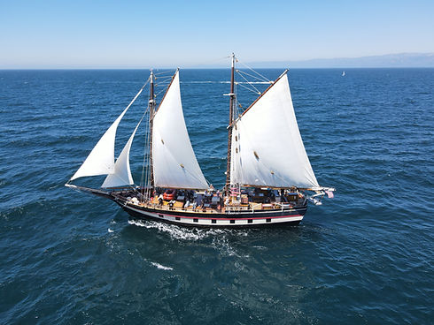 The tall ship Mystic Whaler at sea with her sails up and visitors on board.