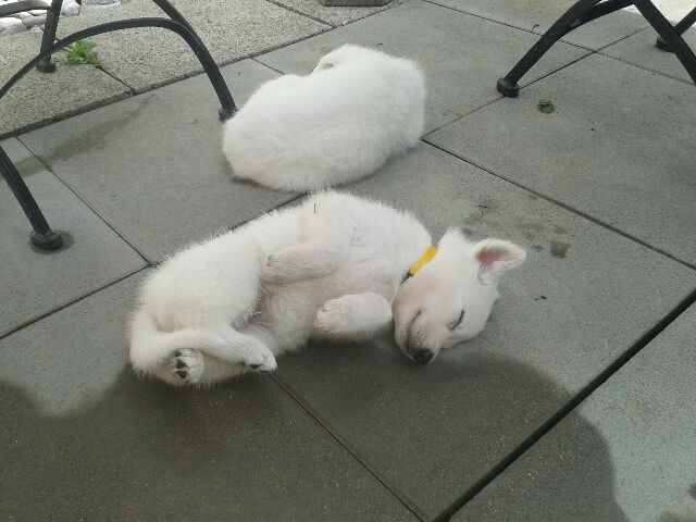 20150621_155328.jpeg