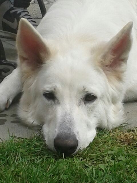 20150621_161303.jpeg