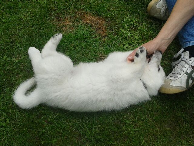 20150621_154919.jpeg