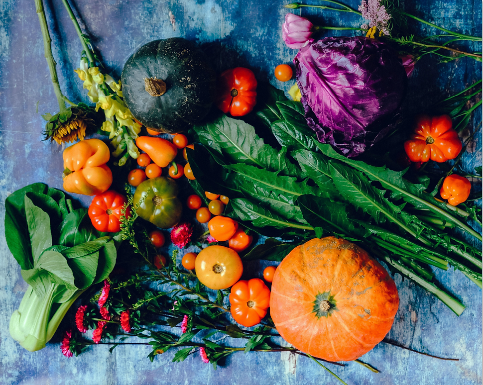 Fruits-vegetable-Elysia-workshop-caterin