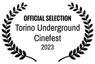 OFFICIAL SELECTION - Torino Underground Cinefest - 2023.png