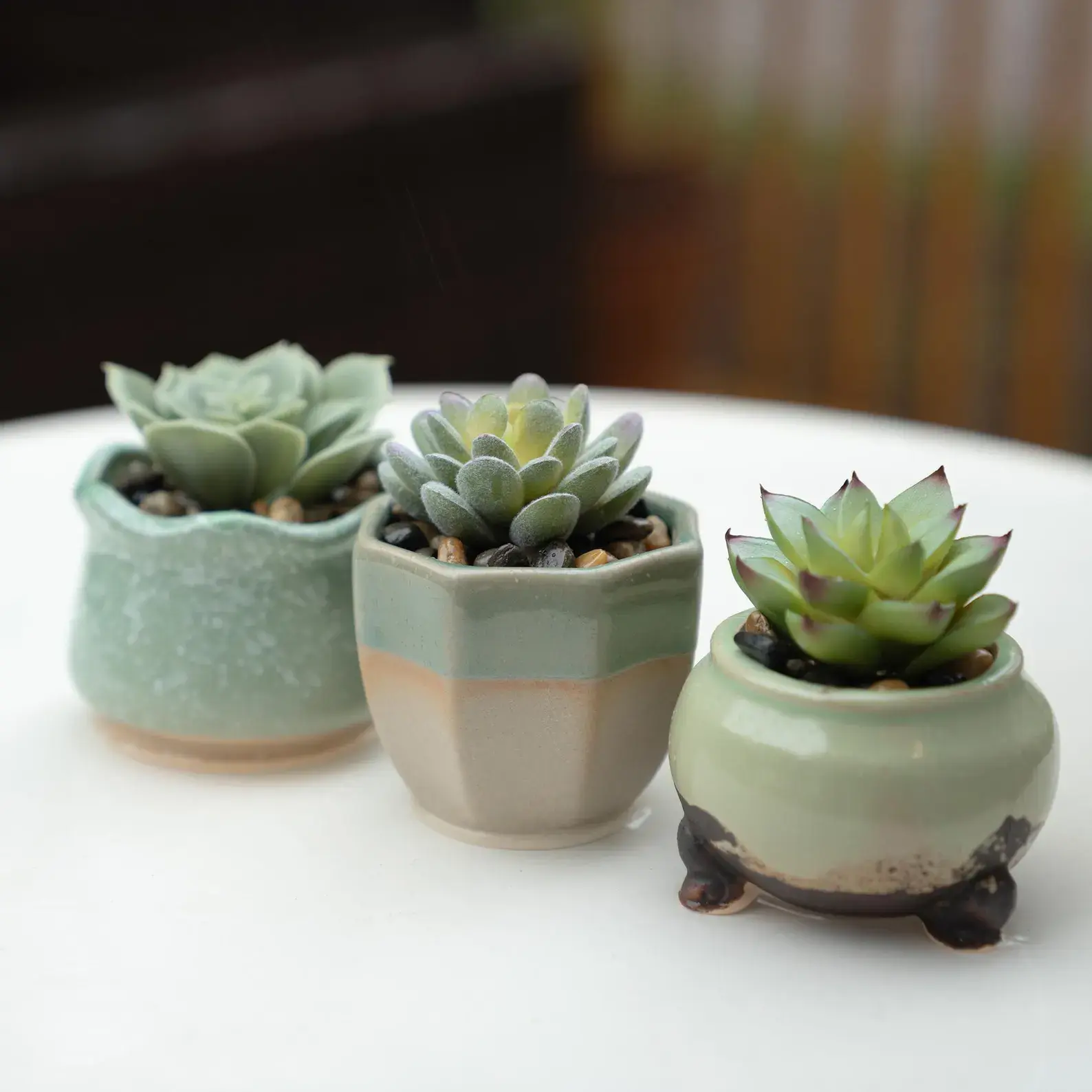 Artificial Succulent Plants in Ceramic Pots for Home and Office Decor