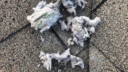 lint on roof 1.jpg