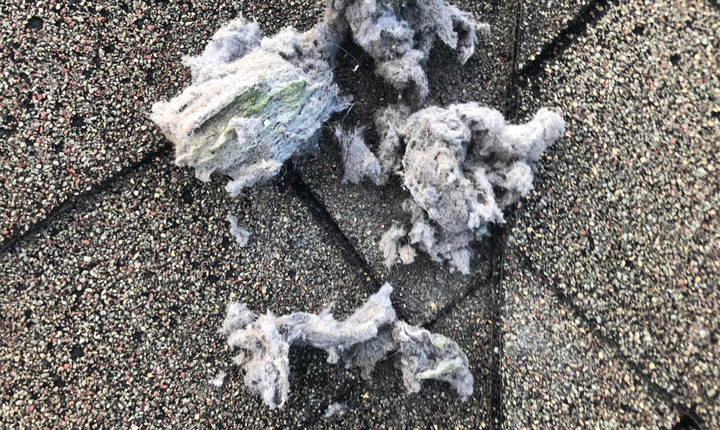 Lint buildup at a roof vent termination before cleaning
