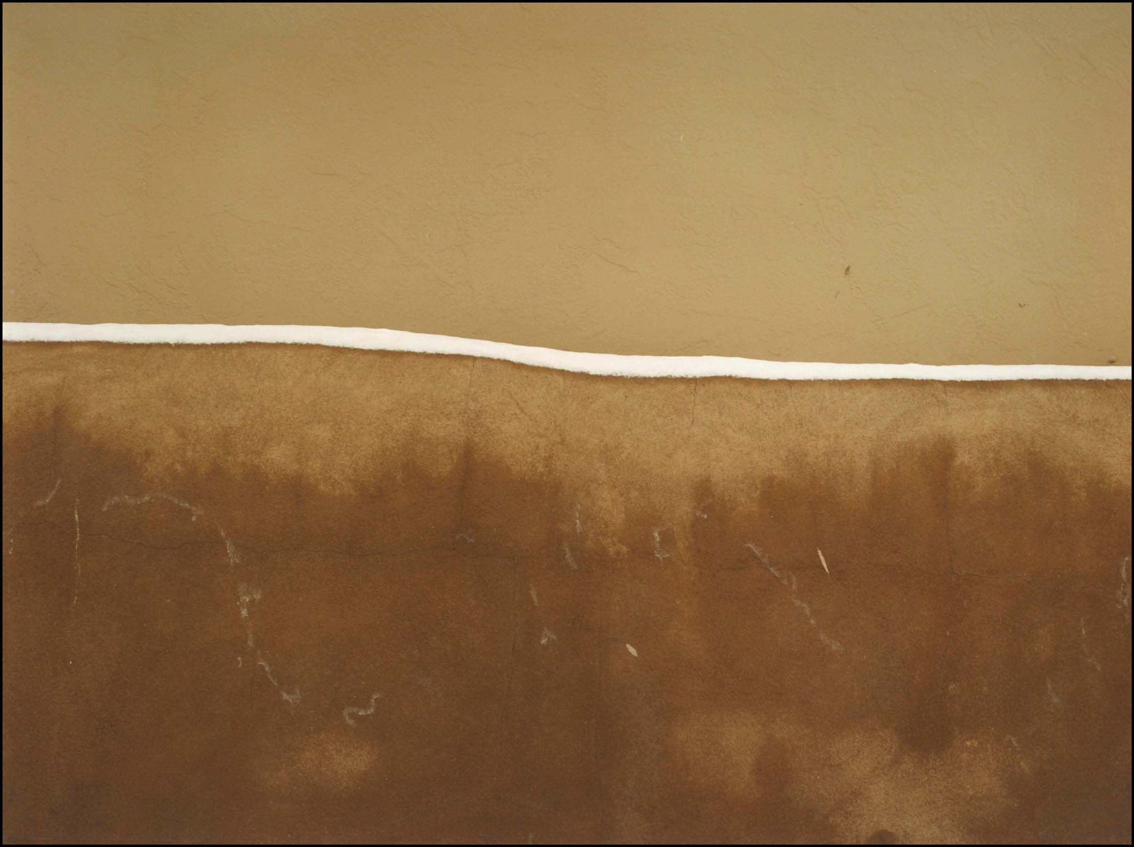 Evidence of Life #5 - 20X24