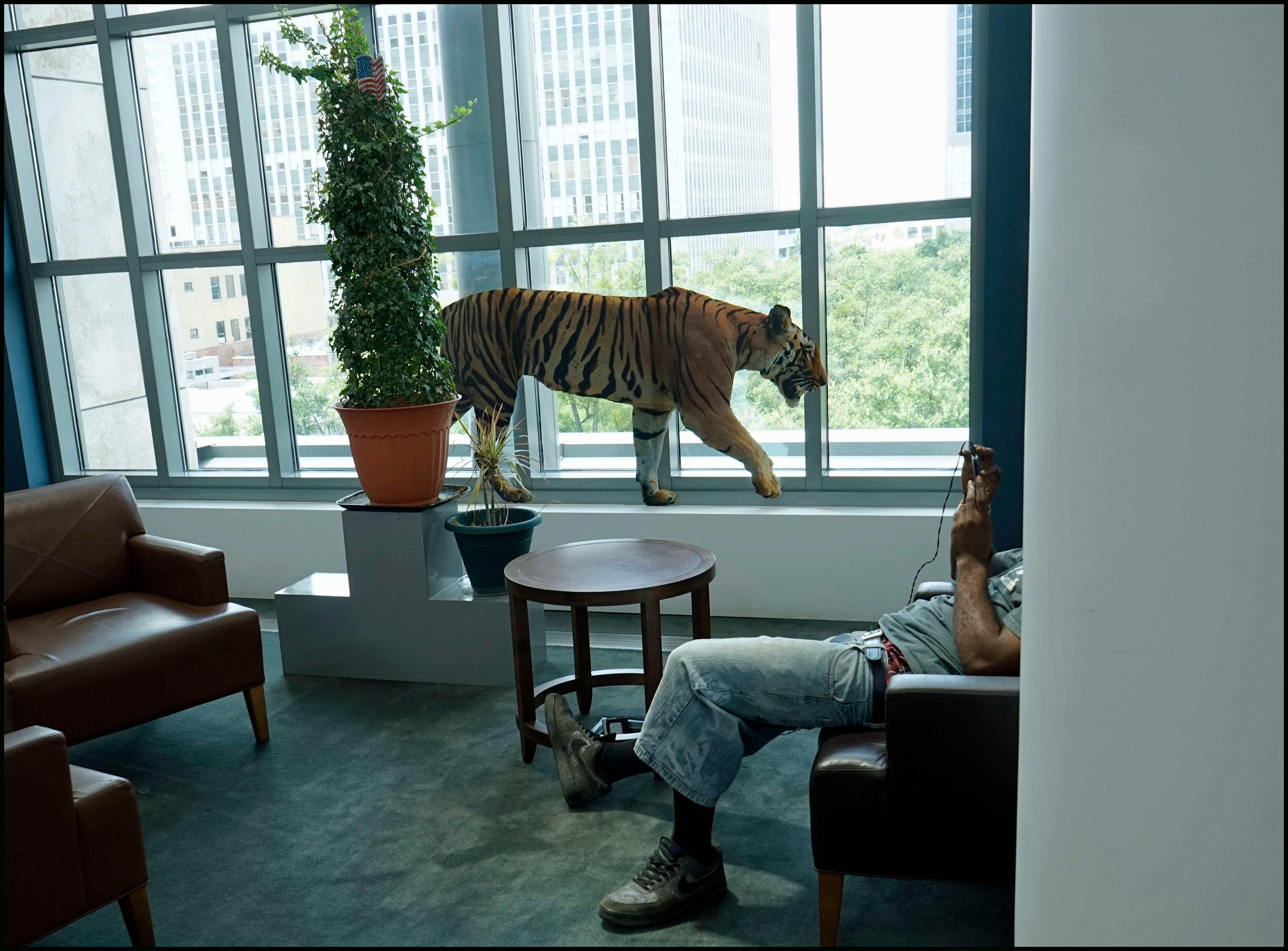 Animals In Space #8 - 11X14