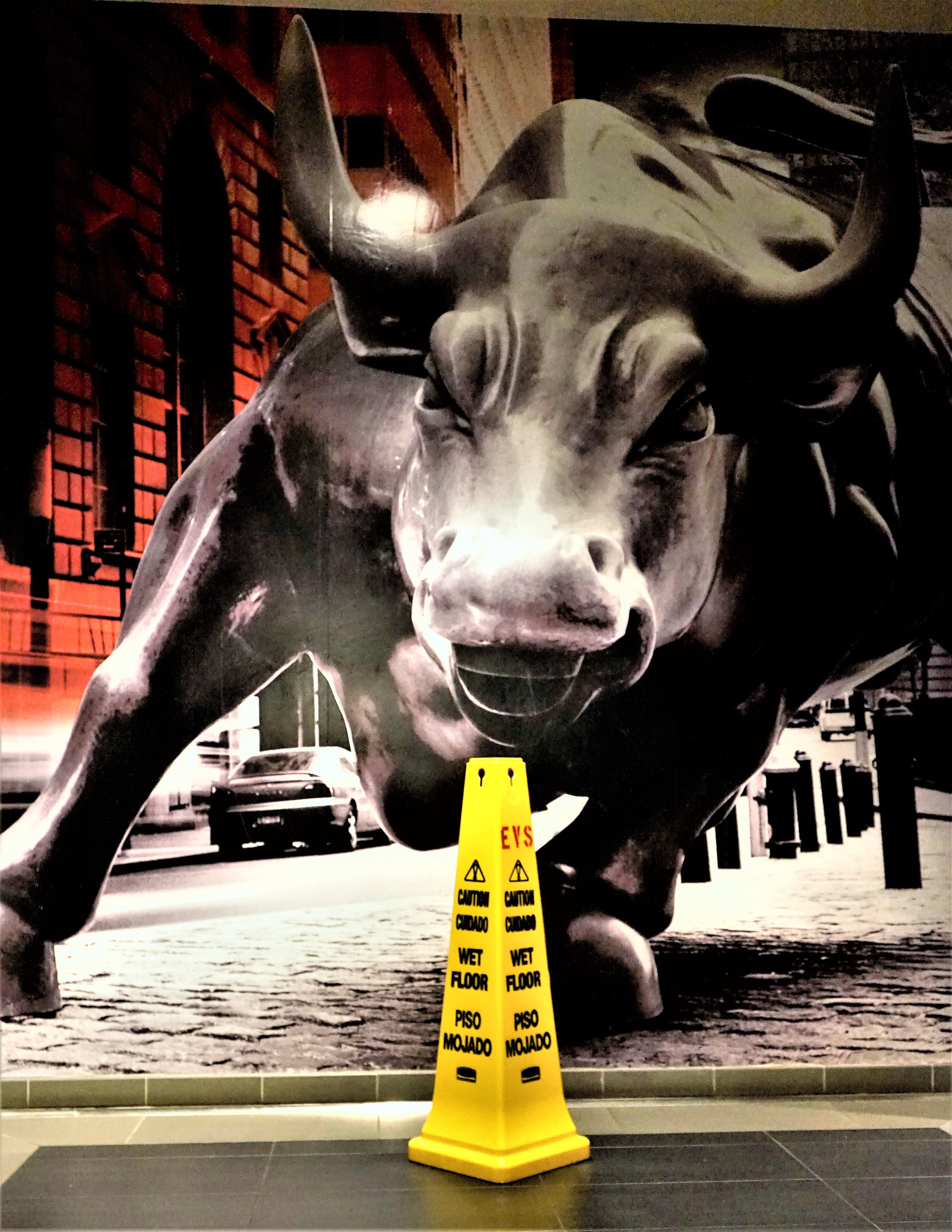 Animals In Space #11 - 11X14