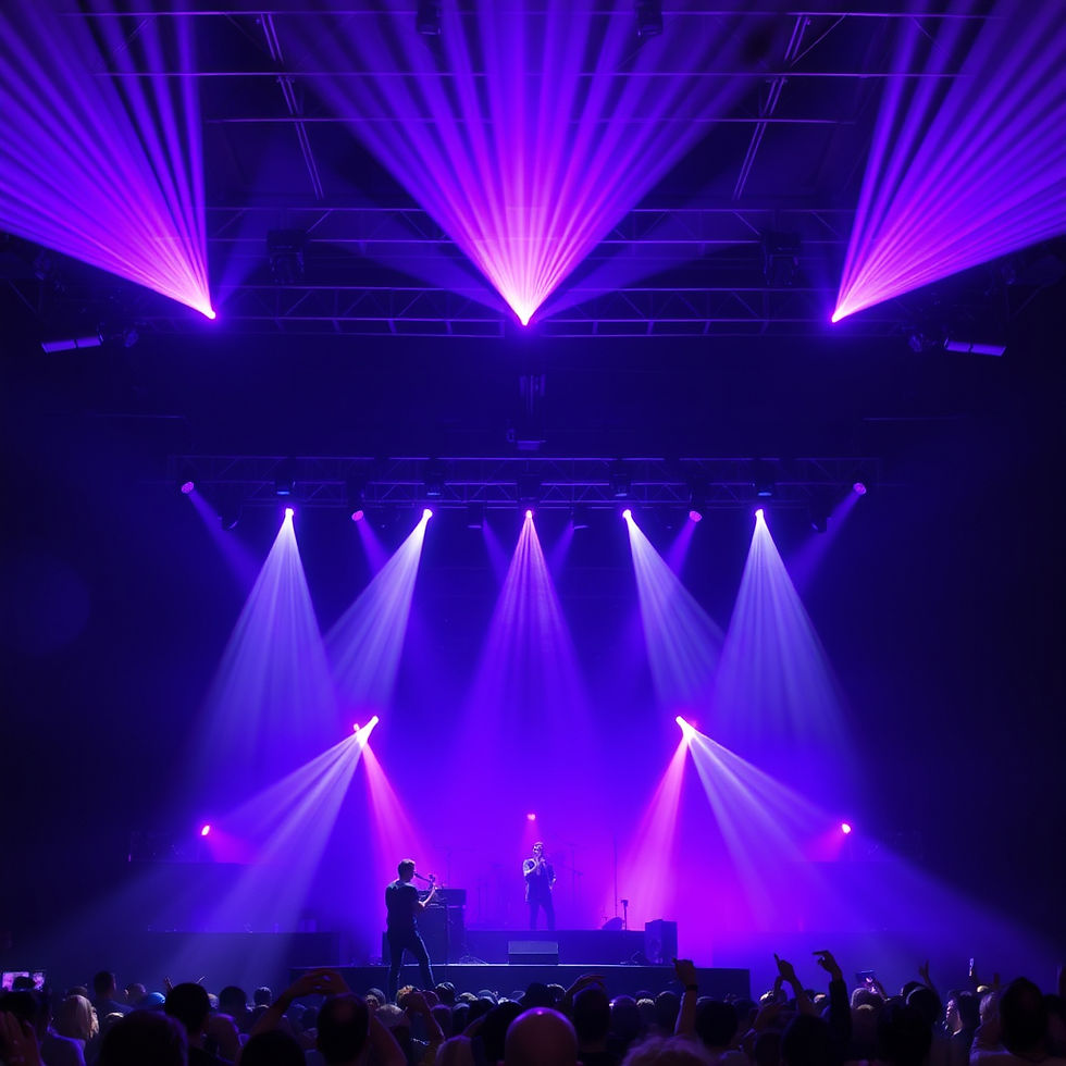 purple concert lighting.jpg