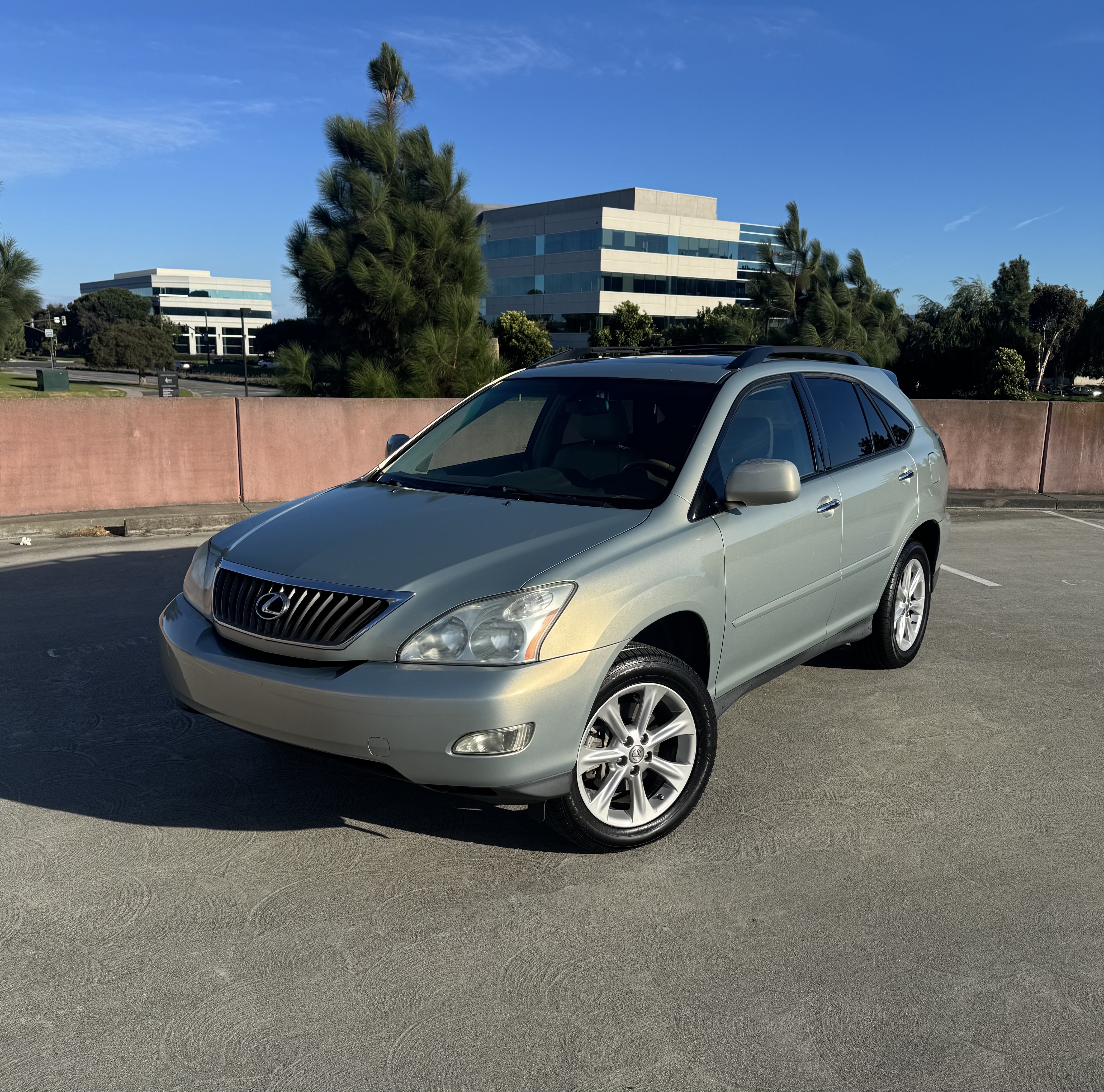 2009 Lexus RX
