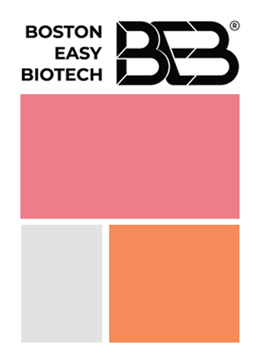 mockup-branding_edited.png
