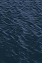 Untitled.png