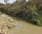 A Muddy River
