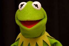 Free the Frog