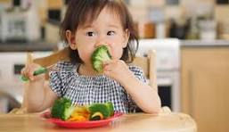 A Healthy Diet