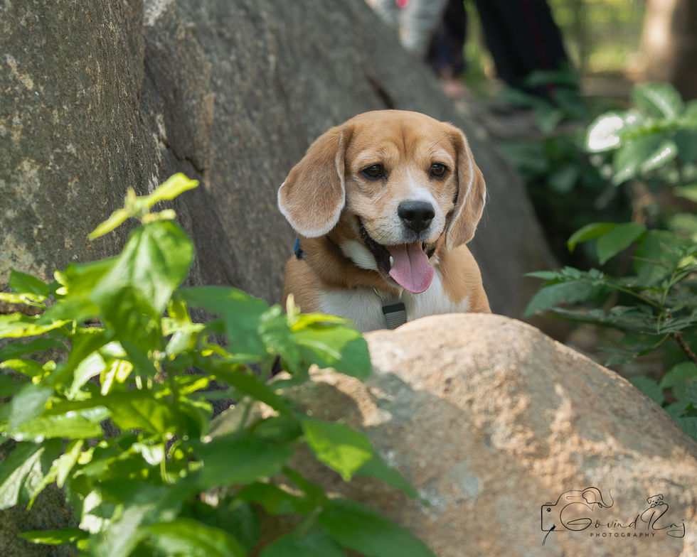 _A4A0689-Enhanced-NR12024