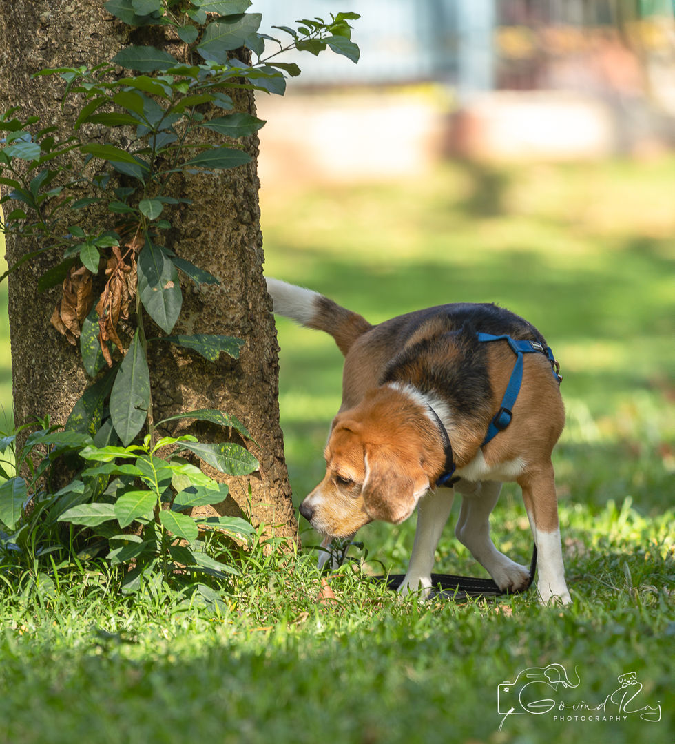 _A4A0743-Enhanced-NR-Edit12024