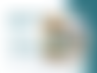 Stress-Free Property Management for Adelaide BNB Hosts