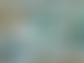 End November Strong: Make Hosting Stress-Free with Blessed Stay