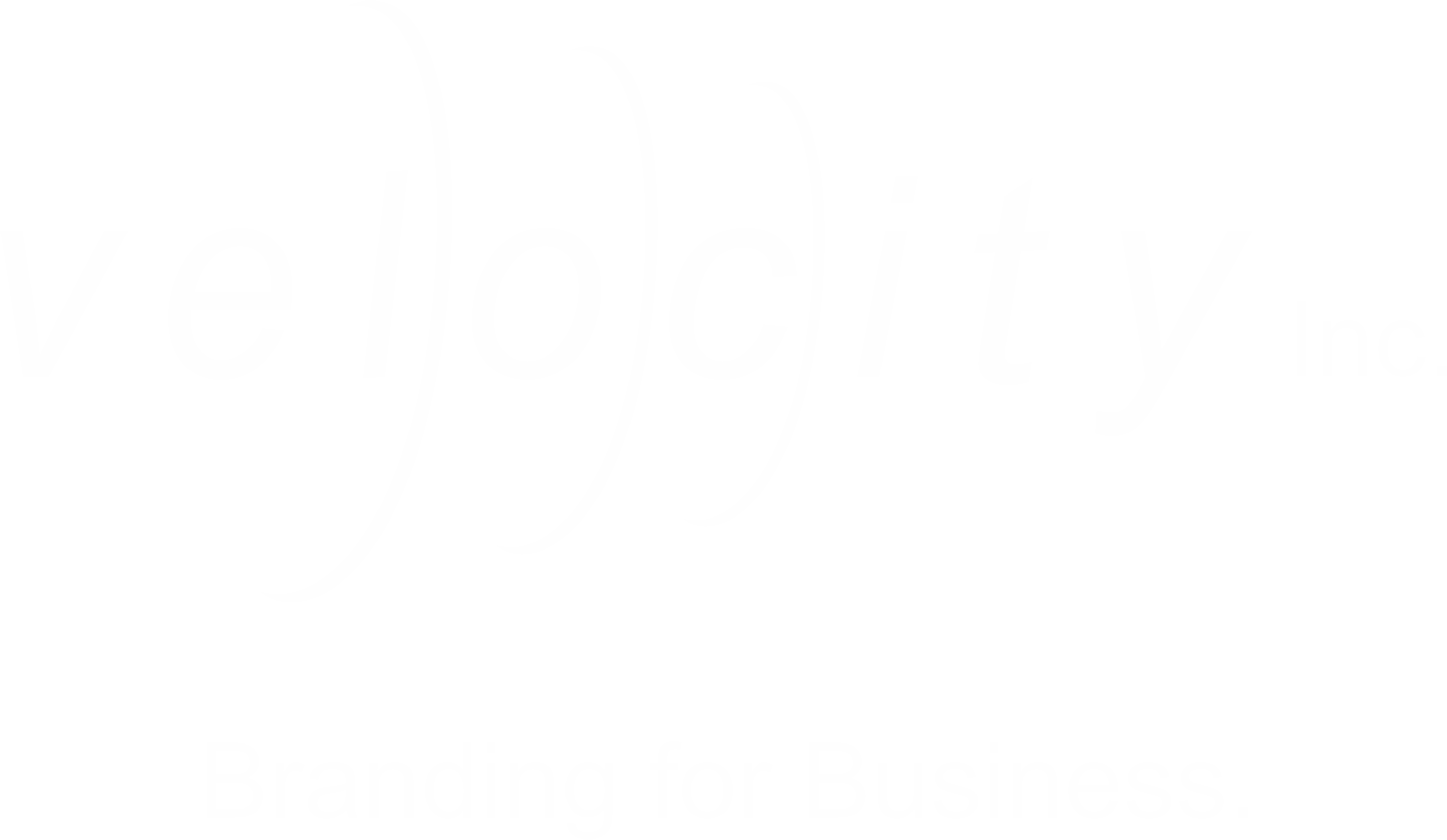 VELOCITY LOGO WHITE.gif