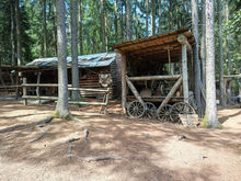IMG-20220723-WA0019.jpg