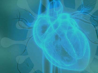 How COVID-19 affects the cardiovascular system