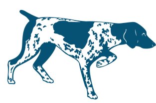 ラブラドールレトリーバー ♂ / ホワイトシェパード ♂