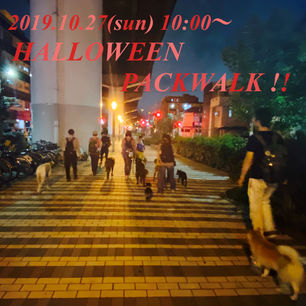 10/27（日）【第59回　A-side PACK WALK（ハロウィンパックウォーク）】 参加者募集します！